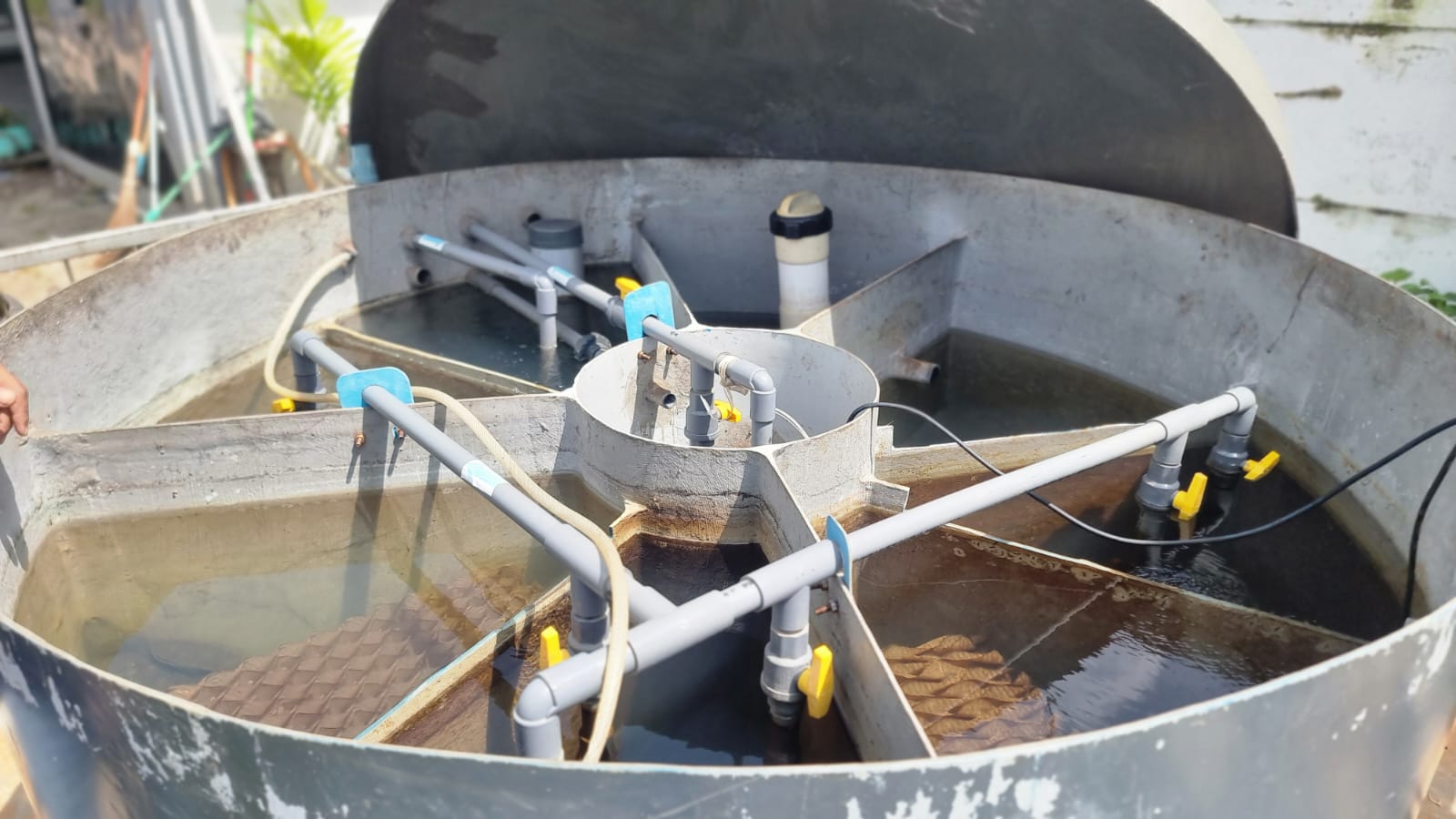 Developing a Water Quality Monitoring System 6 WRU SMKN 66 3